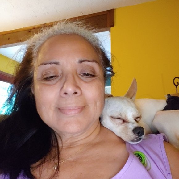 Meet your Posher, Edna - Picture 4 of 7